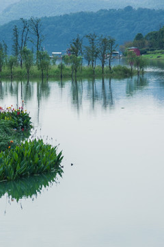 宁波九龙湖湿地公园