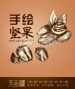 手繪堅(jiān)果美國(guó)山核桃