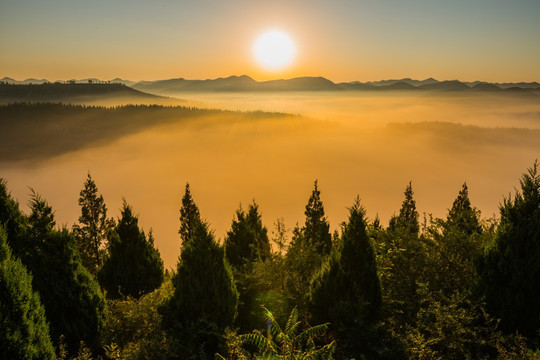 家乡美 雾景