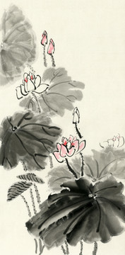 高清原作掃描 荷花