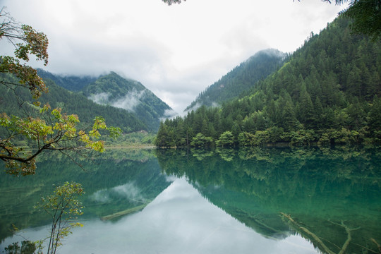 镜海风景