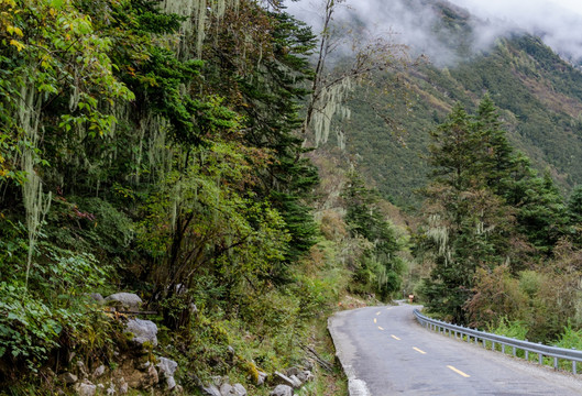 山区公路 林区公路 景区公路