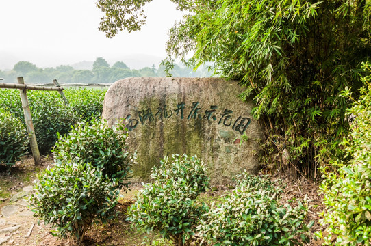 西湖龙井示范园石碑