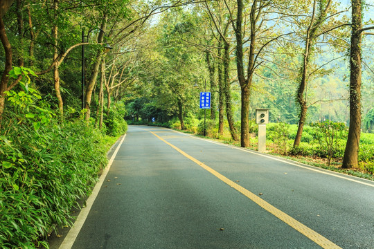 盘山公路