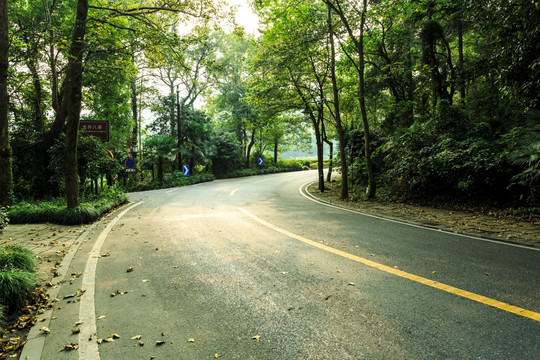 盘山公路