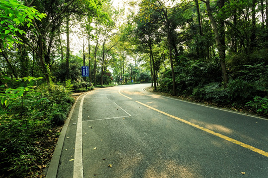 盘山公路