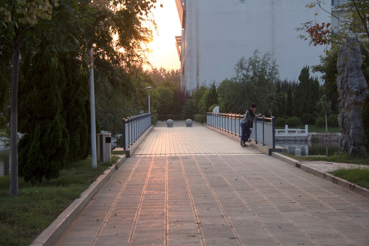 夕阳桥