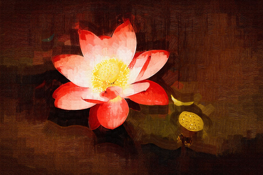 油畫(huà) 荷花 裝飾畫(huà)