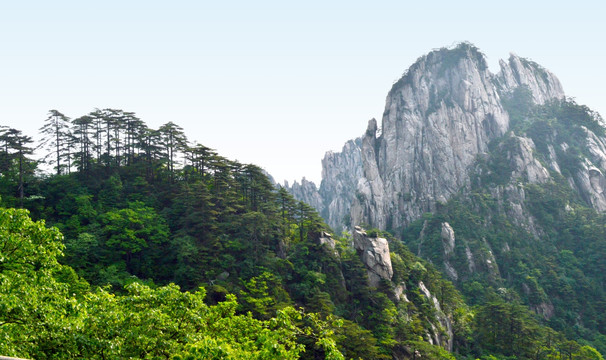 夏季黄山群峰