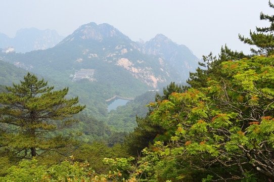 黄山群峰竞秀