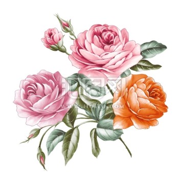 粉色朵花