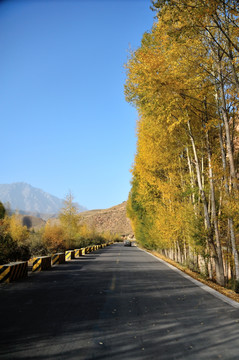 三十三洞天景区 马蹄寺景区