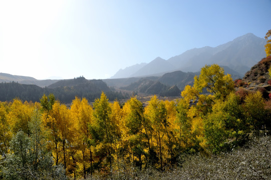 三十三洞天景区 马蹄寺景区