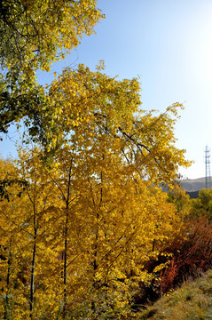 三十三洞天景区 马蹄寺景区