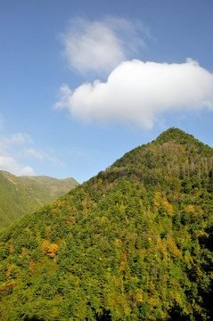 大山