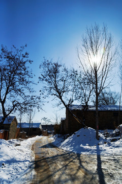 乡村雪野