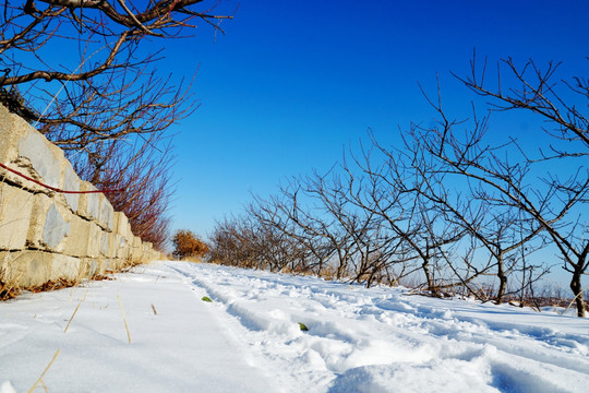 山乡雪野