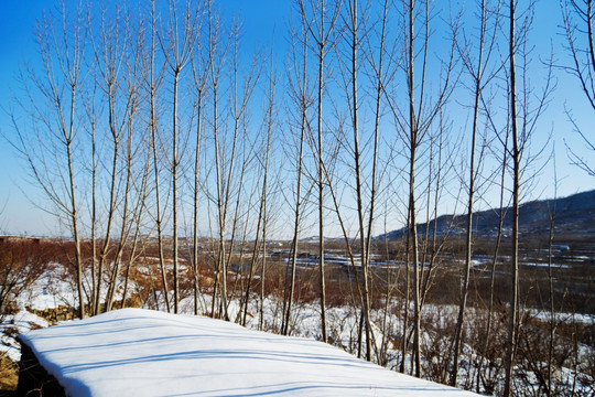 山乡雪野