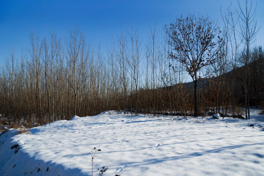 山乡雪景