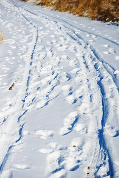 大雪