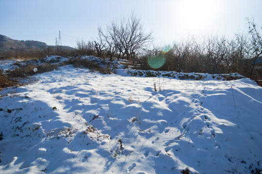 雪景