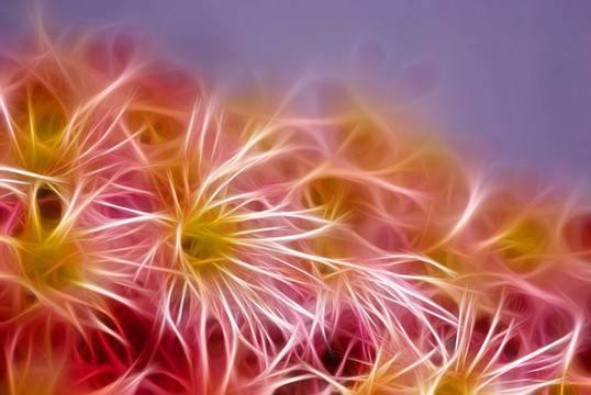 裝飾畫 花