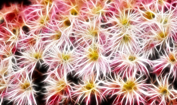 裝飾畫 花
