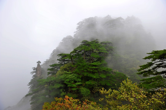 黄山