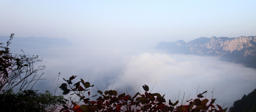 云海 风光 高山丘壑 峡谷