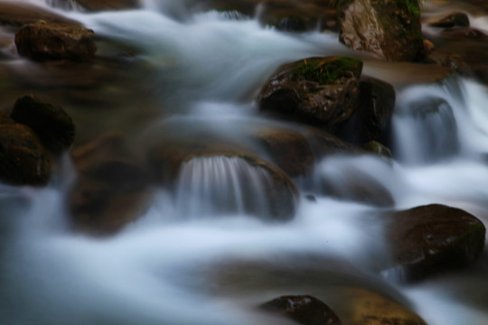 流水 溪流 小河 河流 苔藓