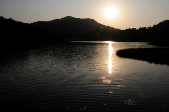 大夫山森林公园 夕阳