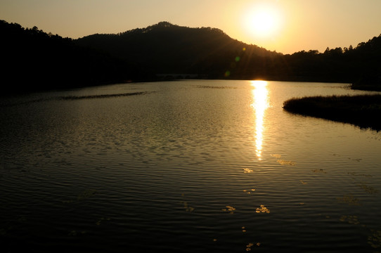 大夫山森林公园 夕阳