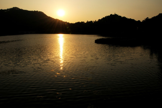 大夫山森林公园 夕阳