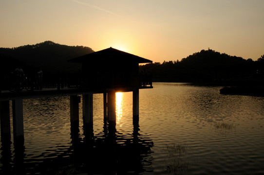 大夫山森林公园 夕阳