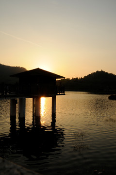 大夫山森林公园 夕阳