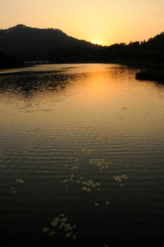 大夫山森林公园 夕阳