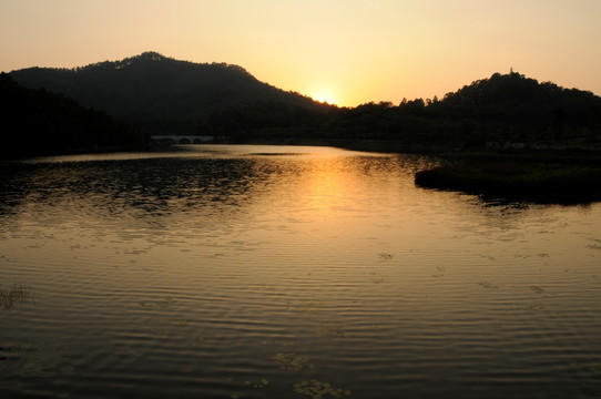 大夫山森林公园 夕阳