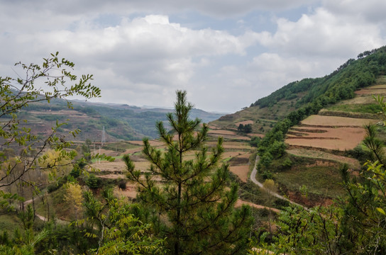 退耕还林 山区经济