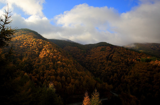 苏木山