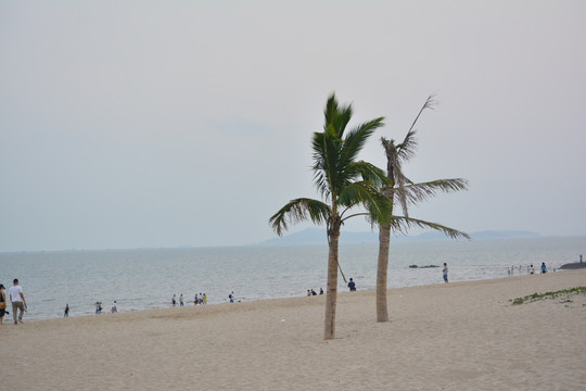 海边风情