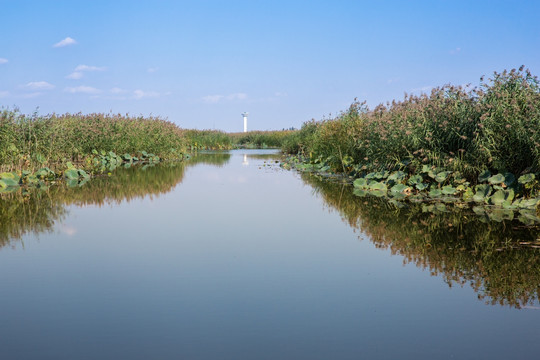 白洋淀水道