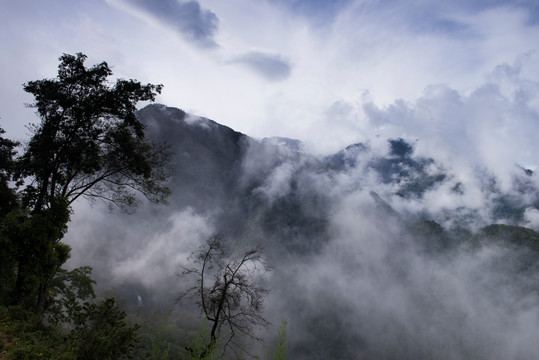 云南高黎贡山 水雾