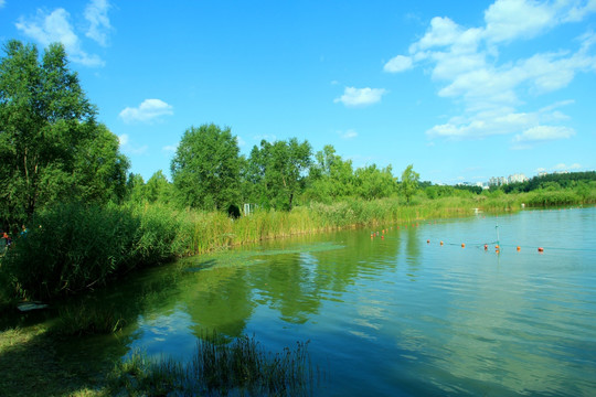 I湿地 湖水