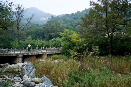 泰山桃花峪风光