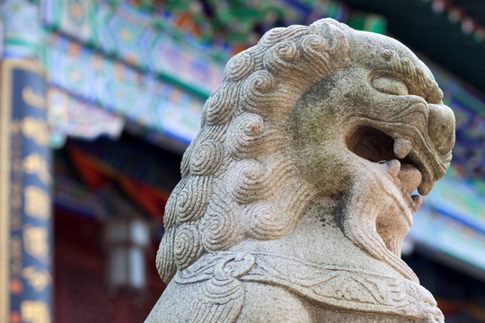 金山寺 寺庙 江天禅寺 庙宇