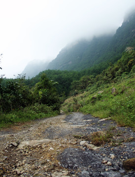 大山深处