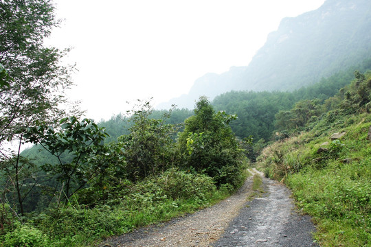 马路 公路 路