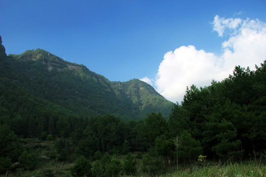 森林 蓝天 白云 大山