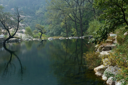 泰山河岸风光