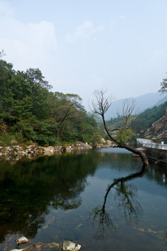 泰山桃花峪河道风光